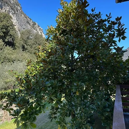 La Lanterna Apartment Arco